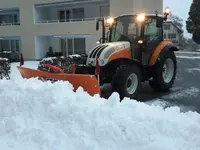 Moser Service rund um Haus & Garten Gmbh - Klicken Sie, um das Bild 10 in einer Lightbox vergrössert darzustellen