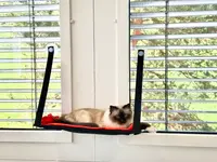 Katzen-Praxis.ch