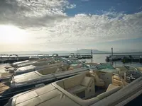 Port Vidoli SA