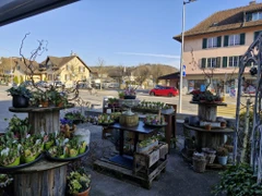s'Bluemelädeli Schmid GmbH