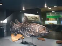 Naturhistorisches Museum Bern