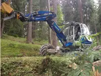 Wegmüller AG Garten- und Landschaftsgestaltung