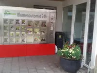 hollenstein blumengarten ag, Blumenshop, Gärtnerei, Gartenbau