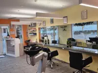 Coiffeur fine arts