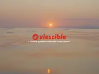 VIESCIBLE SA