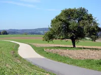 Gemeinde Zell ZH
