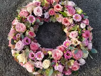 Wiedmer-Blumen AG