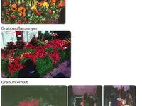 Blumen Pfister