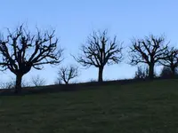 Schneider - Klicken Sie, um das Bild 9 in einer Lightbox vergrössert darzustellen