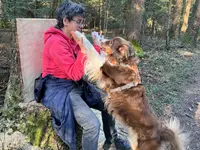Hundetraining Dog Know How
