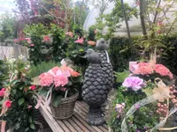 AUHOF Pflanzen Garten Blumen
