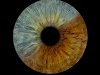 You & Eye Photo Montreux