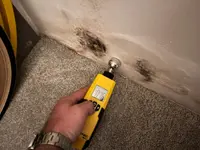 Romande Humidité