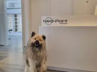 Med-Point Fahrer