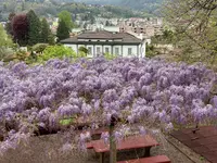 Grotto Valle