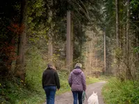 LIFE AND WORK SOLUTIONS Andrea Paul