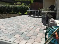 Bovisi AG