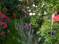 Bont Gartenbau und Gartenpflege AG