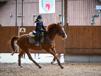 Reitsportzentrum St. Josefen AG - Klicken Sie, um das Bild 7 in einer Lightbox vergrössert darzustellen