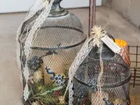 Pura Culina AG