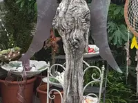 Blumenland Schweiz AG