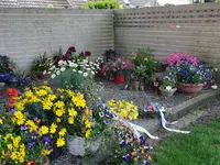 M&M Gartenbau AG