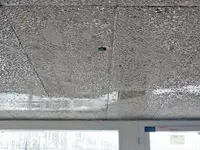 Schnelli AG Bauunternehmung