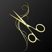 Vision Coiffure-Logo