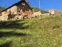 AZIENDA AGRICOLA ARCIONI LUIGI - Klicken Sie, um das Bild 3 in einer Lightbox vergrössert darzustellen