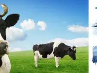 Buri AG Milchkühlanlagen