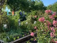 Garden Centre Meylan