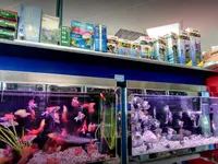 Zoo Adebar sagl