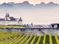 Les Celliers du Chablais SA - Klicken Sie, um das Bild 9 in einer Lightbox vergrössert darzustellen