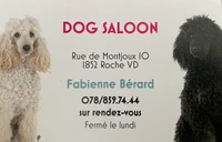 Dog Saloon - Salon de toilettage-Logo