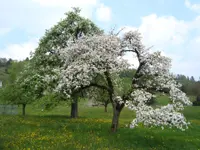 Heiterhof