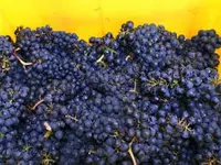 Domaine Les Hutins