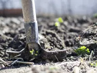 Augsburger Gartenbau GmbH