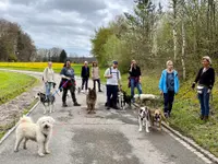 Hundeschule MyBestFriends - Klicken Sie, um das Bild 7 in einer Lightbox vergrössert darzustellen