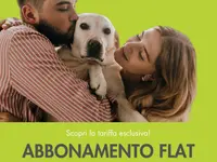 WashDog Bellinzona