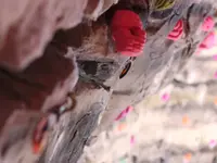 Gecko escalade Sàrl