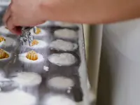 Fromagerie Moléson SA