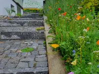 Küng Garten AG - Klicken Sie, um das Bild 3 in einer Lightbox vergrössert darzustellen