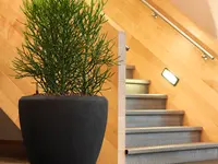 Widler Gartenbau + Floristik AG