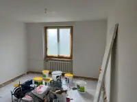 Maler-und Gipsergeschäft Marko Jagustin