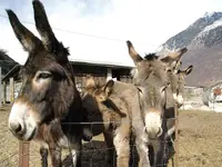 Azienda Agricola Rodoni Paolo