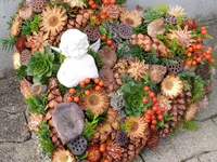 Blumen Zweerus
