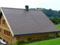 Fitzi Bedachungen und Bauspenglerei AG