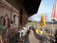 Ponyschür Schönau