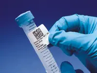 Schärer + Kunz AG