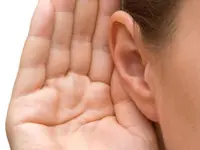 Hörberatung Roth